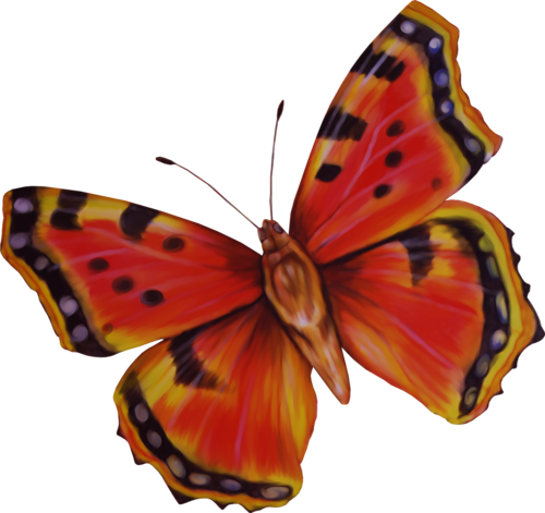 őszi állatok_20.png